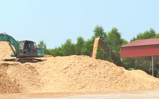 Bát nháo nhà máy gỗ dăm tại Quảng Trị, chưa cấp phép vẫn hoạt động