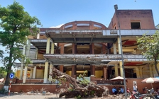 Đà Nẵng: Nhiều bất thường trong vụ ngang nhiên bứng hạ cổ thụ giữa phố