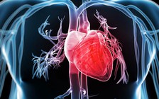 Những phát hiện mới nhất về bệnh suy tim