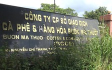 Bán đấu giá Sàn giao dịch cà phê và hàng hóa Buôn Ma Thuột