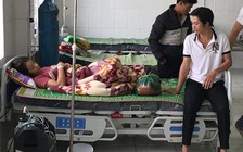 Ăn măng rừng tươi, một phụ nữ suýt mất mạng