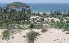 Những dự án 'chưa làm chết cọng cỏ'