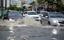 Tranh luận 'TP.HCM chìm hay không chìm' vẫn chưa có hồi kết