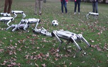 Đội robot báo con chơi bóng trong sân trường