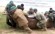 Miền Trung gồng mình đón bão số 6