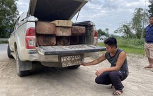 Gắn biển số giả, chở gỗ lậu chạy bạt mạng trên QL9