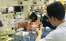 Ngăn ngừa các loại giống giả sâm Ngọc Linh