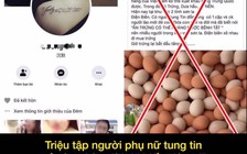 Cư dân mạng quan tâm: Phao tin ăn trứng chống dịch bệnh Corona