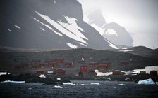 Nam Cực trải qua ngày nóng kỷ lục