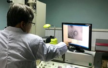 Tin tức đặc biệt trên báo in ngày 16.3.2020