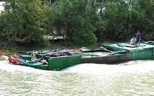 Khẩn cấp cứu hơn 12.000 ha sầu riêng