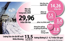 Tận dụng giá cao để xuất khẩu gạo