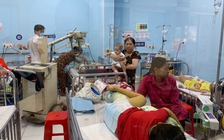 Đã có 7.300 người mắc sốt xuất huyết ở TP.HCM