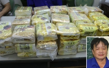 Bắt vụ vận chuyển 50 kg ma túy đá từ Lào về Việt Nam