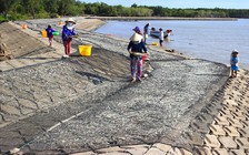 Cà Mau chi hơn 19.000 tỉ đồng ứng phó biến đổi khí hậu