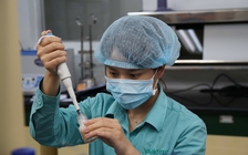 Tin tức đặc biệt trên báo in ngày 13.8.2020