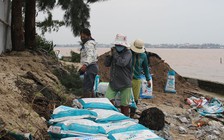 Khẩn cấp ứng phó bão số 13