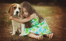 Bất ngờ với những lợi ích tuyệt vời của việc nuôi chó