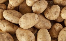 5 chất đốt cháy chất béo bất ngờ mà bạn đang thiếu