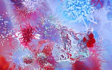 Ăn thứ này có thể ngăn sự phát triển của tế bào ung thư