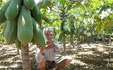 'Anh đi trước vung tay quá tóc…'