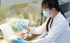 Ở nơi tìm vi rút Covid-19 xuyên tết