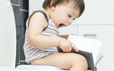 Nên 'đi ngoài' bao nhiêu lần một ngày là tốt nhất?