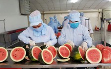 Doanh nghiệp rút lui khỏi thị trường, đừng lo?