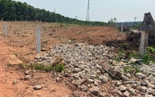 Cái tình không bịt được... cái sai!