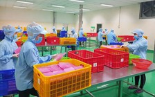 Giảm phí, phải giảm cả thủ tục