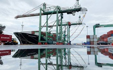 Một cảng ở Trung Quốc tạm dừng nhập khẩu hàng thủy sản Việt Nam