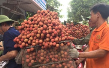 Thực phẩm thiết yếu tại TP.HCM vẫn căng thẳng: Bài học từ Bắc Giang, Hải Dương