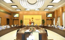 Cho ý kiến về kết quả giải quyết khiếu nại, tố cáo của công dân