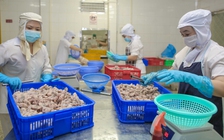 Mở cửa kinh tế đi đôi với phòng chống dịch