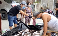 Tặng cá cho người nghèo, chàng trai miền Tây nhận 'mưa tim'