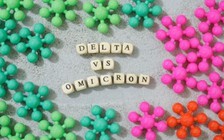 CDC Mỹ: Biến thể Omicron gây tử vong thấp hơn Delta đến 91%