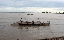 Sẽ đảo lộn mùa khô thành 'mùa nước nổi' ở ĐBSCL