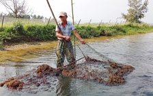 Lộc trời nơi cửa bể