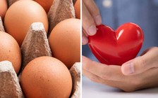 Bị mỡ máu cao, ăn trứng có được không?