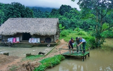 Hạnh phúc của anh chàng rời Hà Nội về quê, sống cùng ông bà ở bìa rừng