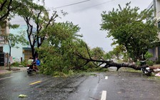 Miền Trung ngổn ngang sau bão Noru
