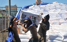 Giá phân bón thế giới tiếp tục tăng 'nóng', giá trong nước vẫn duy trì thấp hơn