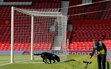 Quả bom làm rúng động sân Old Trafford chỉ là giả