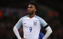 Sturridge có nguy cơ lỡ EURO 2016 vì chấn thương