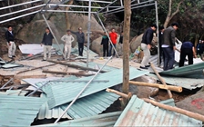 Thay toàn bộ kiểm lâm để xảy ra phá rừng Sơn Trà