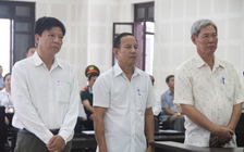 'Kỳ án' gỗ lậu: Cán bộ hải quan tiếp tay buôn lậu gỗ lãnh án