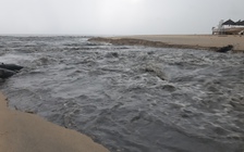 Biển Đà Nẵng lại hứng chịu nước thải đen ngòm sau trận 'mưa vàng'