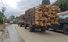 Người dân Đà Nẵng suốt ngày chặn 'xe bẩn'