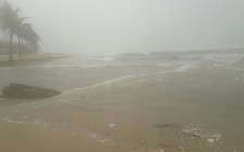 Áp thấp nhiệt đới gây mưa lớn, Đà Nẵng cấm tàu cá ra khơi