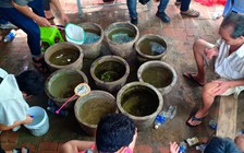 Đà Nẵng triệt xóa ổ đá cá ăn tiền có người cảnh giới